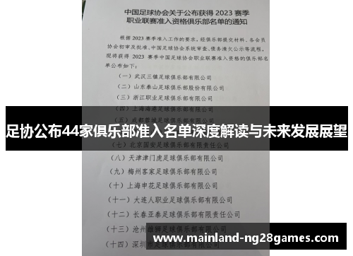 足协公布44家俱乐部准入名单深度解读与未来发展展望