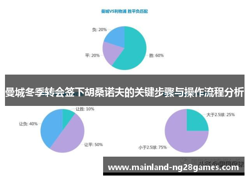 曼城冬季转会签下胡桑诺夫的关键步骤与操作流程分析
