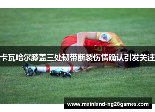 卡瓦哈尔膝盖三处韧带断裂伤情确认引发关注